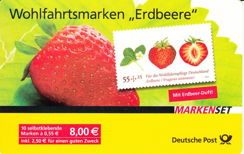 Erdbeere bund 81 - mh,